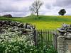 Swaledale Valley, Yorkshire, United Kingdom